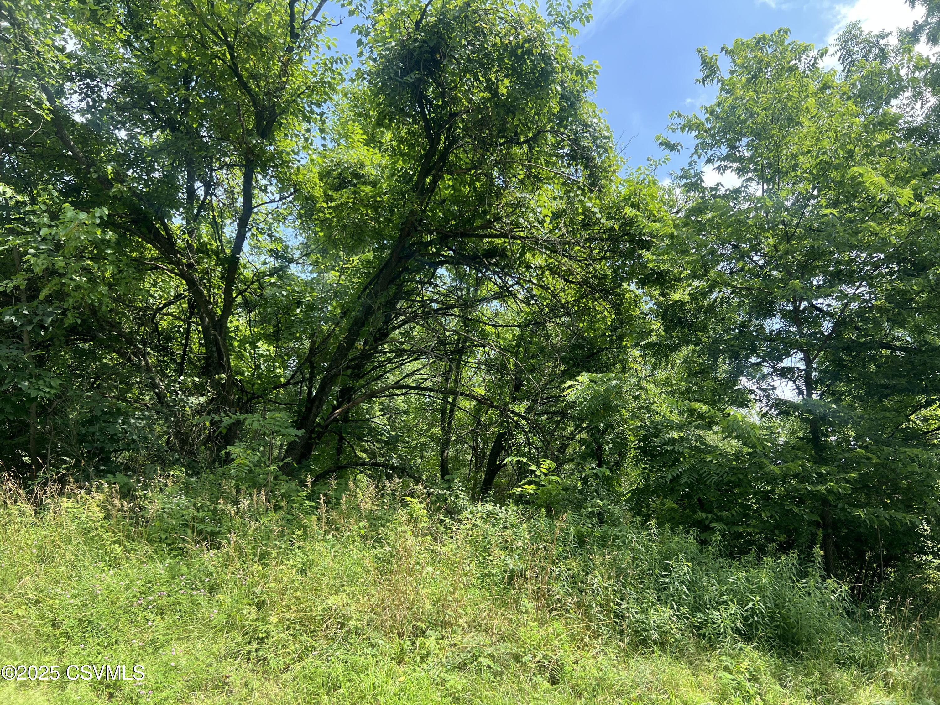 609 HARDSCRABBLE Lane