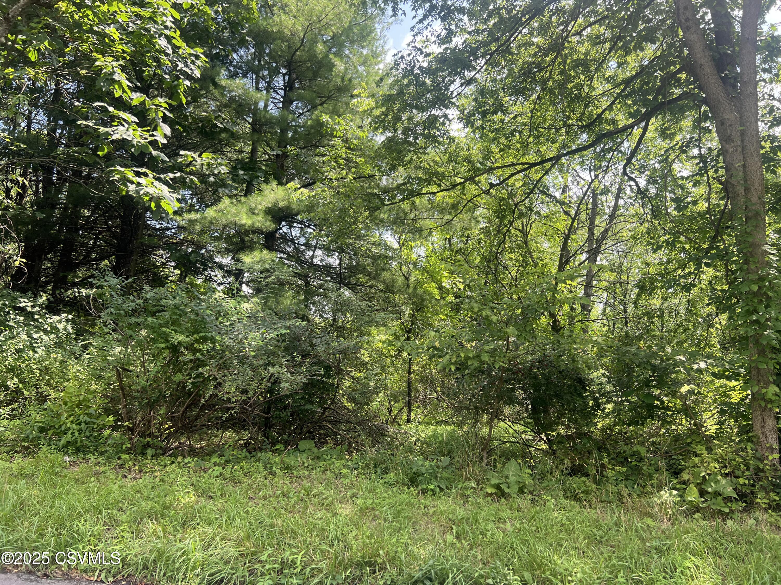 609 HARDSCRABBLE Lane