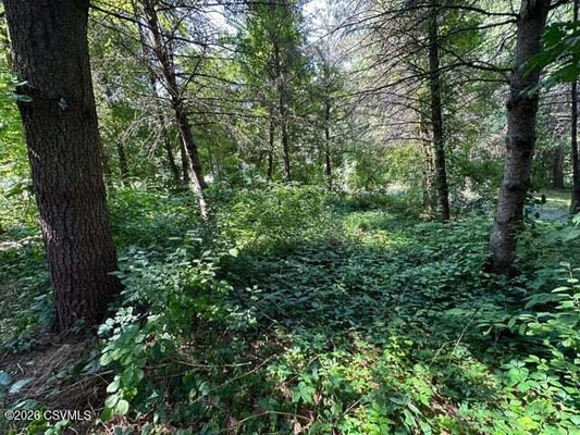 5 PINE DR, MUNCY VALLEY, PA 17758 - Image 873fc5a62ebfbcecaaadeb21f92e8ea6/1575727376