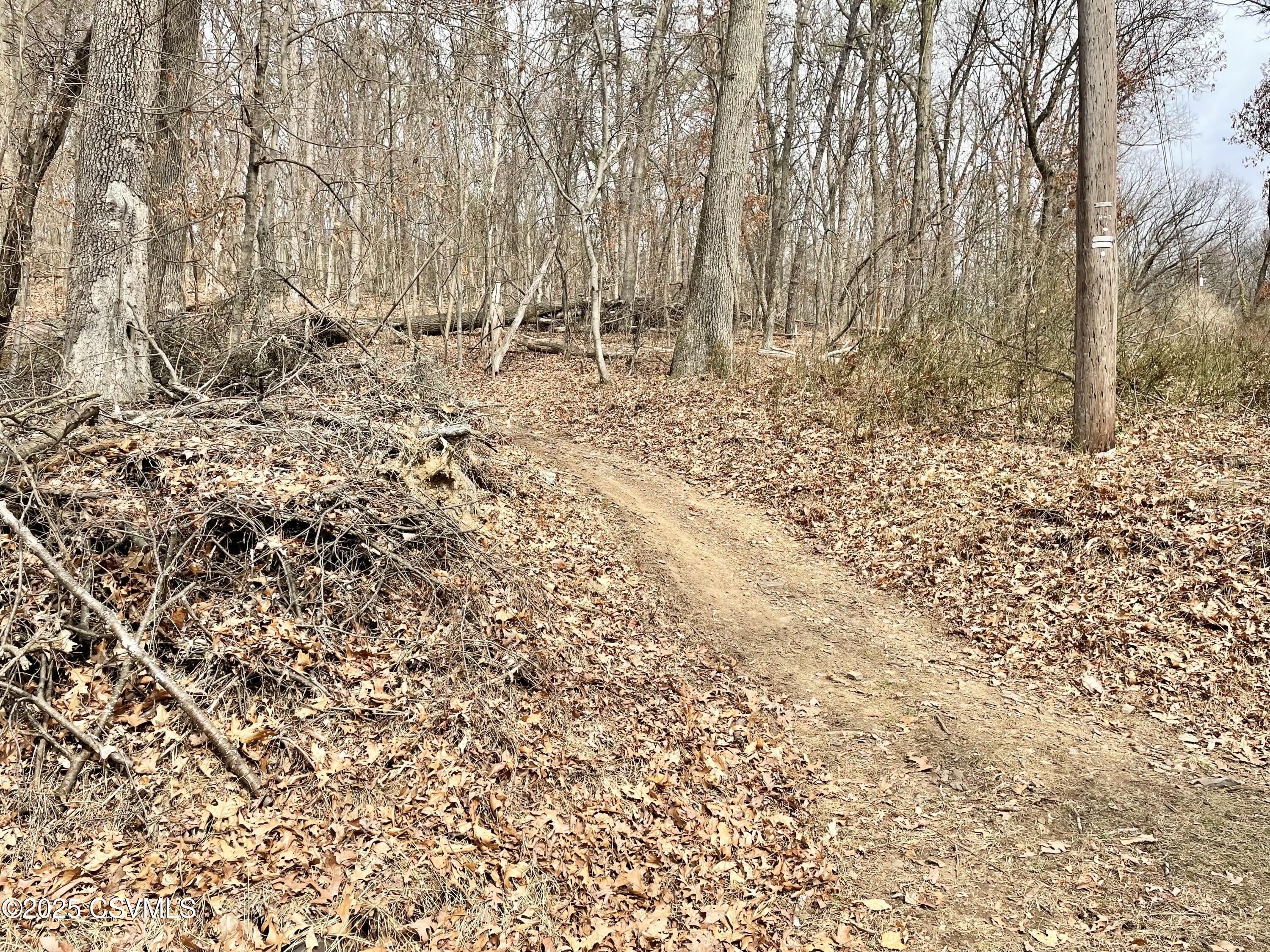 Danville, Pennsylvania 17821, United States, 4 Bedrooms Bedrooms, ,2 BathroomsBathrooms,Residential,Active,86676