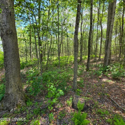 46 PIONEER TRL, MUNCY VALLEY, PA 17758 - Image 8ef326ce2fc34454330f8d37abc6301a/557283864