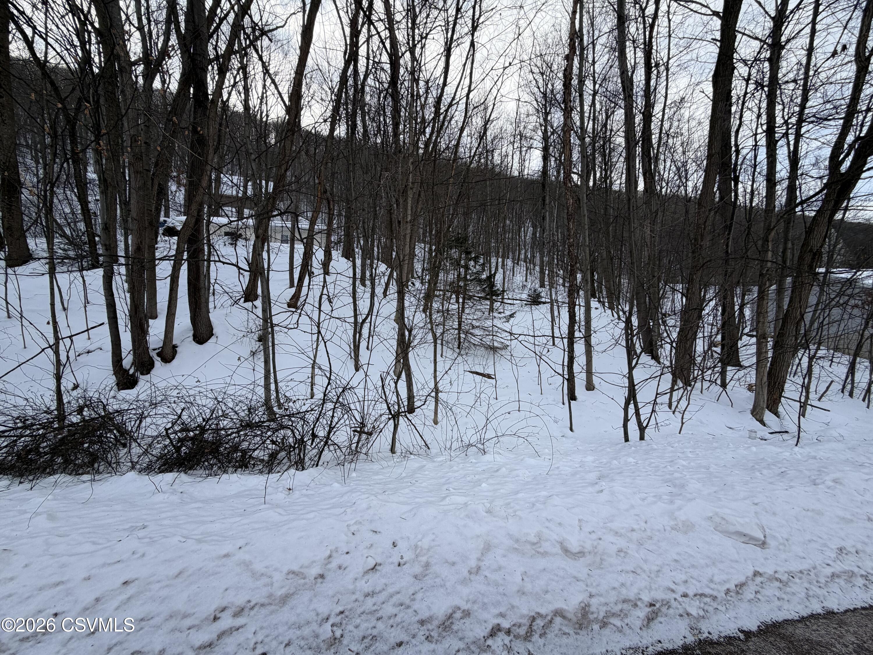 LOT 171 SCENIC Avenue