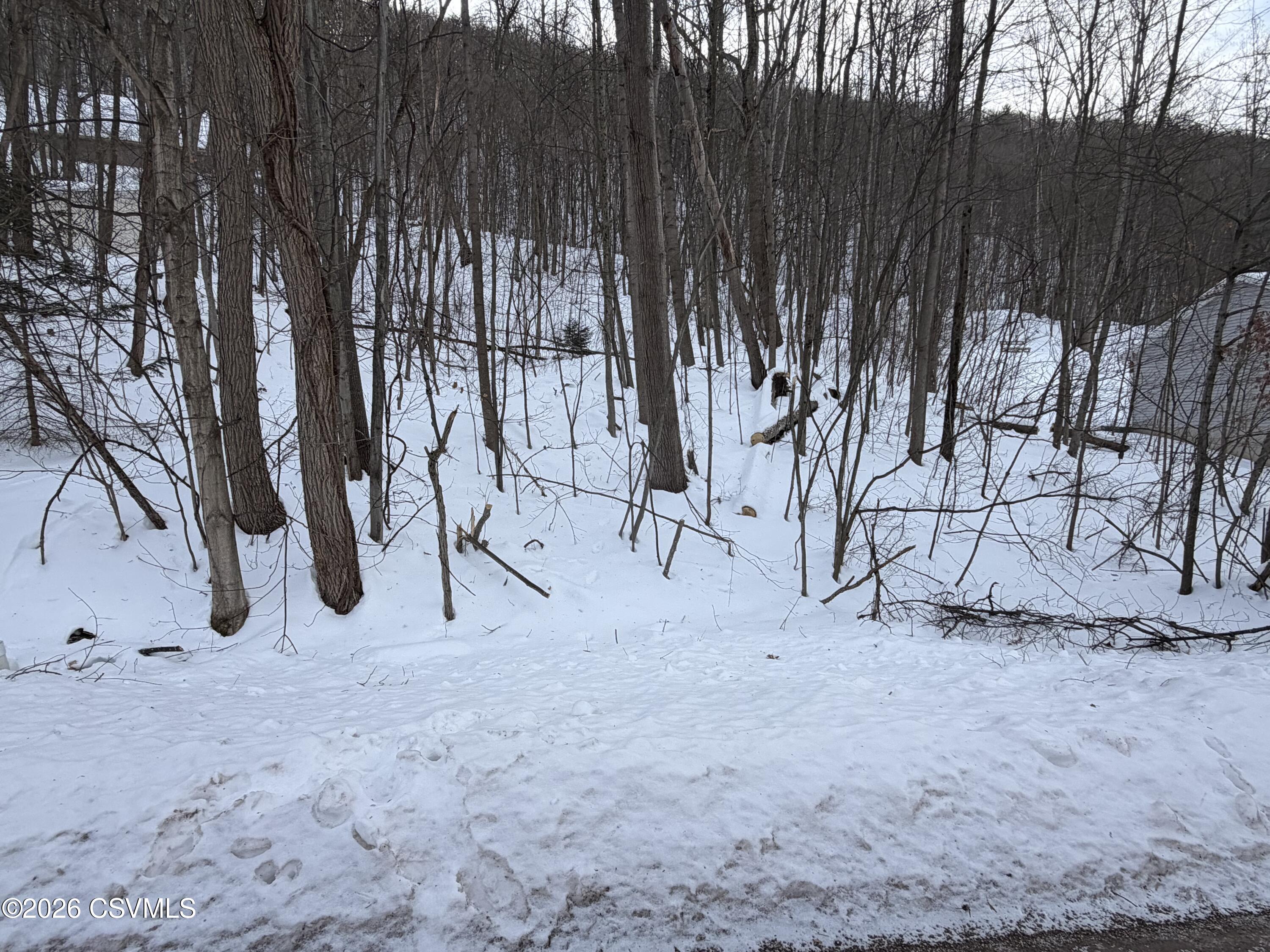 LOT 171 SCENIC Avenue