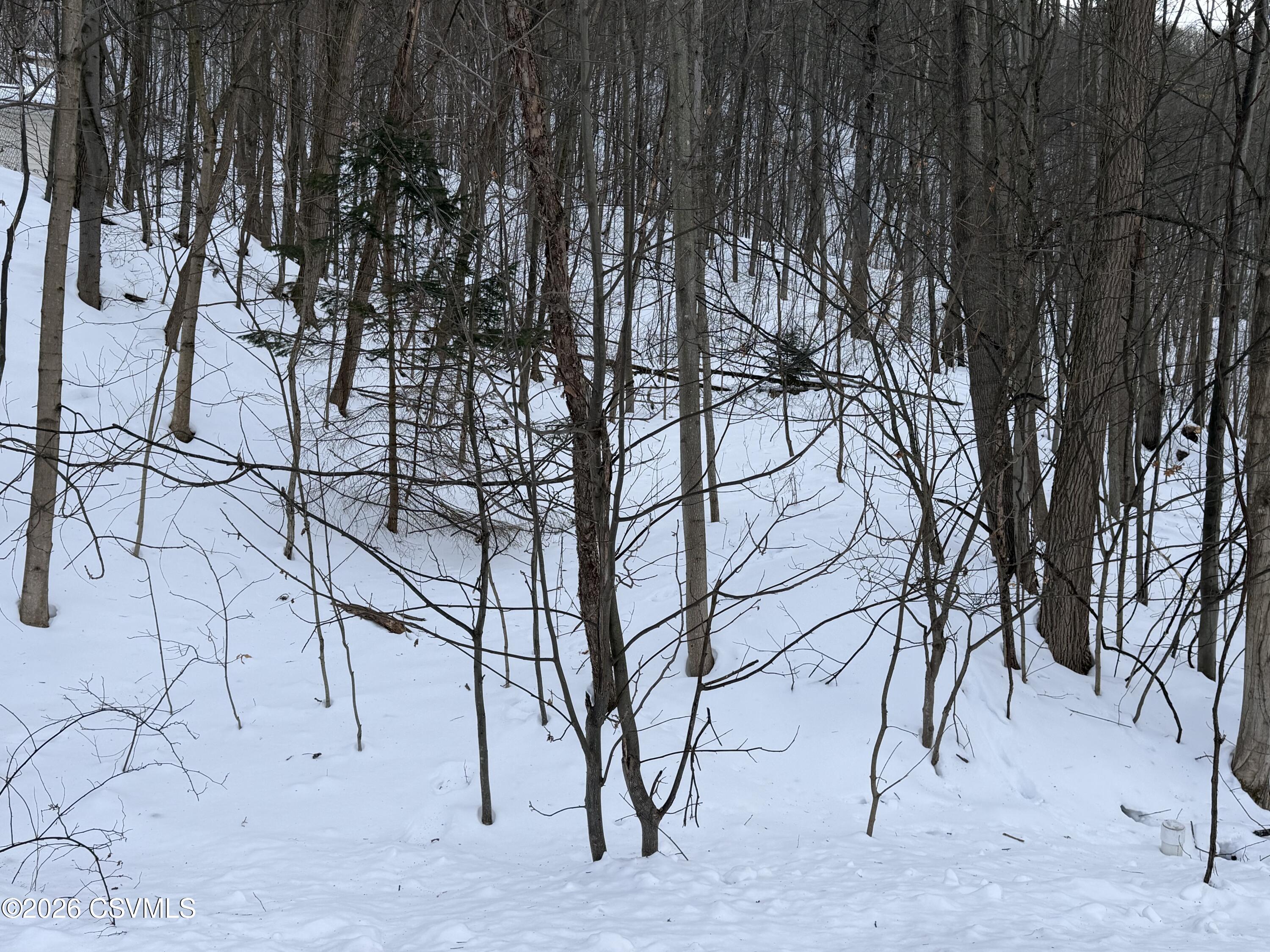 LOT 171 SCENIC Avenue