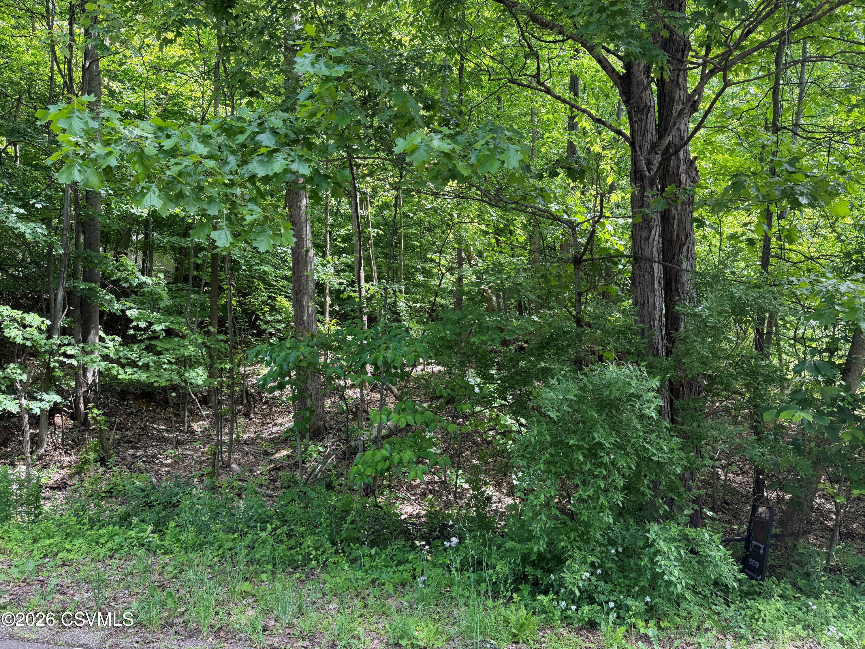 Lot 171 scenic avenue