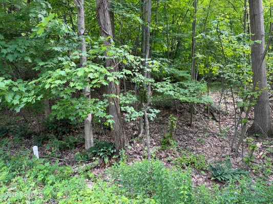 171 SCENIC DR, DANVILLE, PA 17821 - Image 93e7ae2cfdf3e28aa6f816608d8ef0db/3836637624