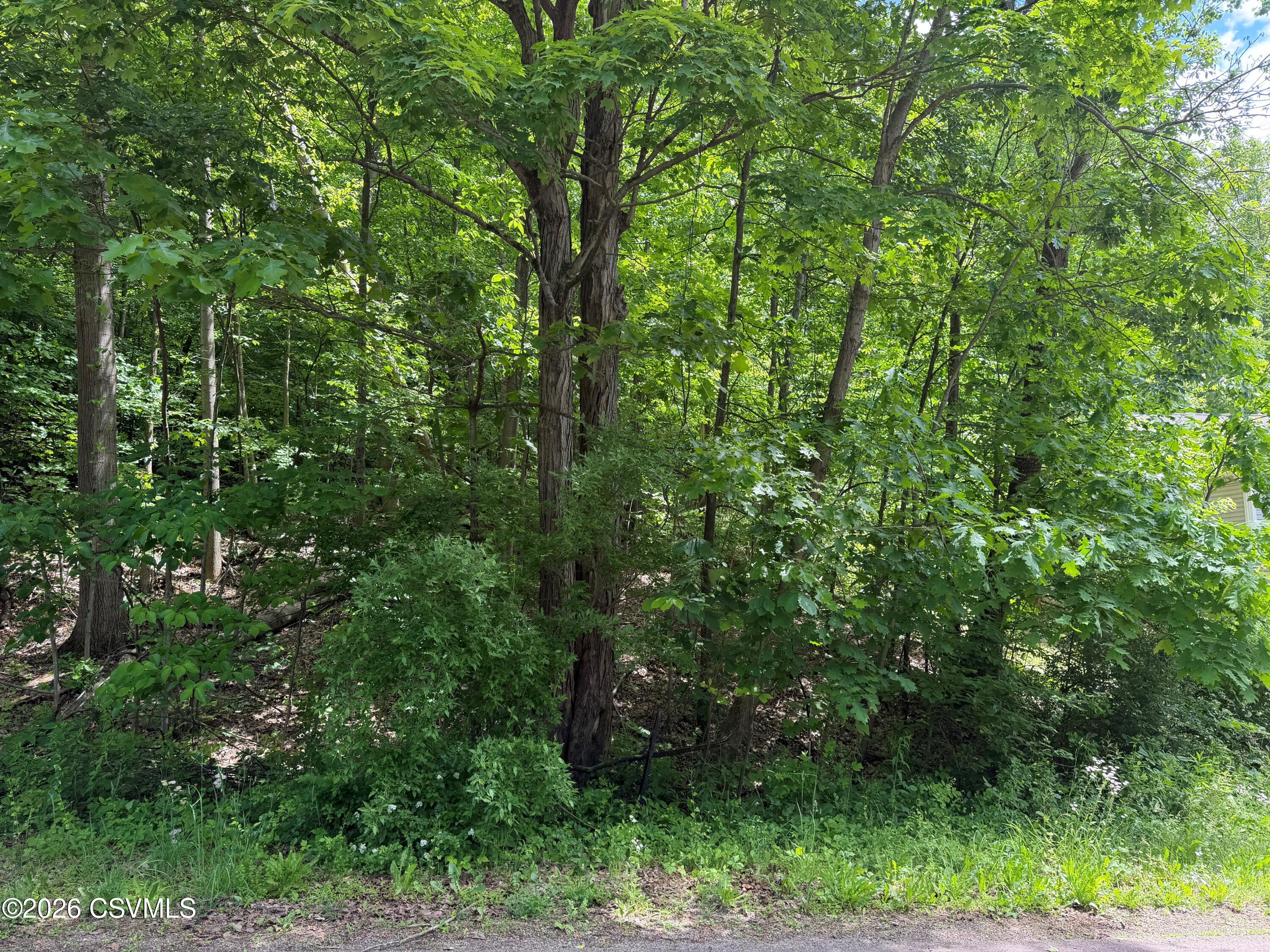 Lot 171 scenic avenue
