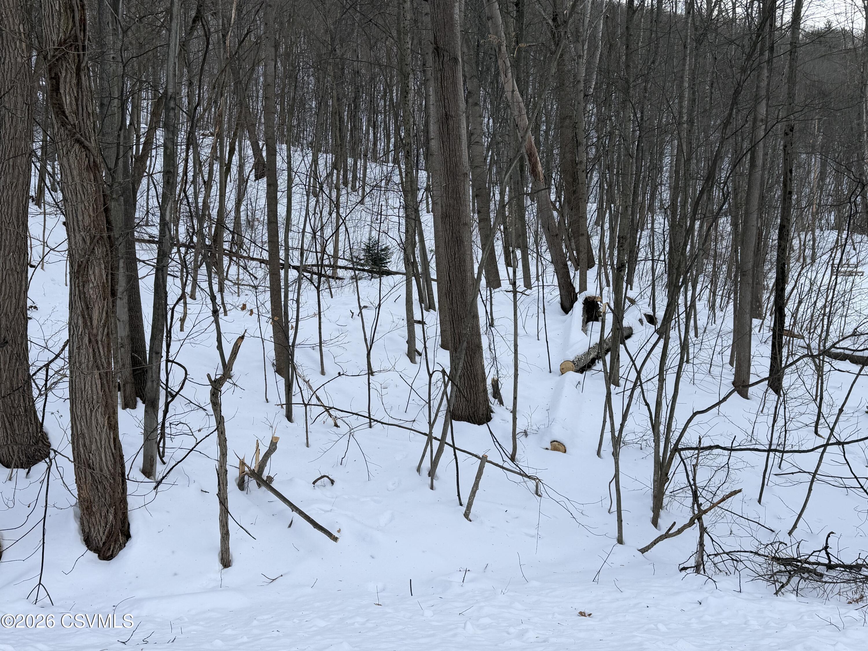 LOT 171 SCENIC Avenue