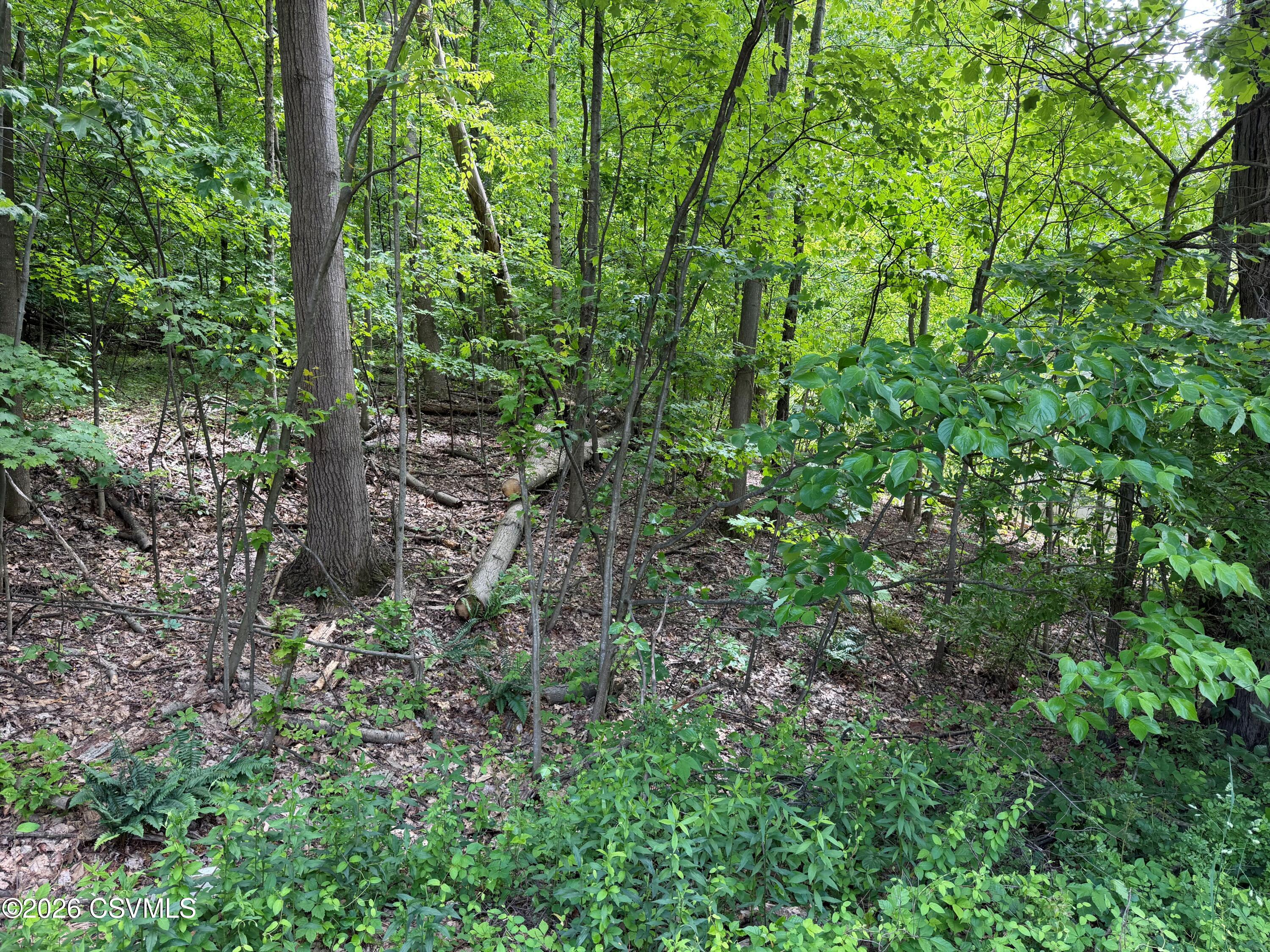 Lot 171 scenic avenue