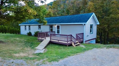 323 AUSTIN Trail Orangeville PA 17859