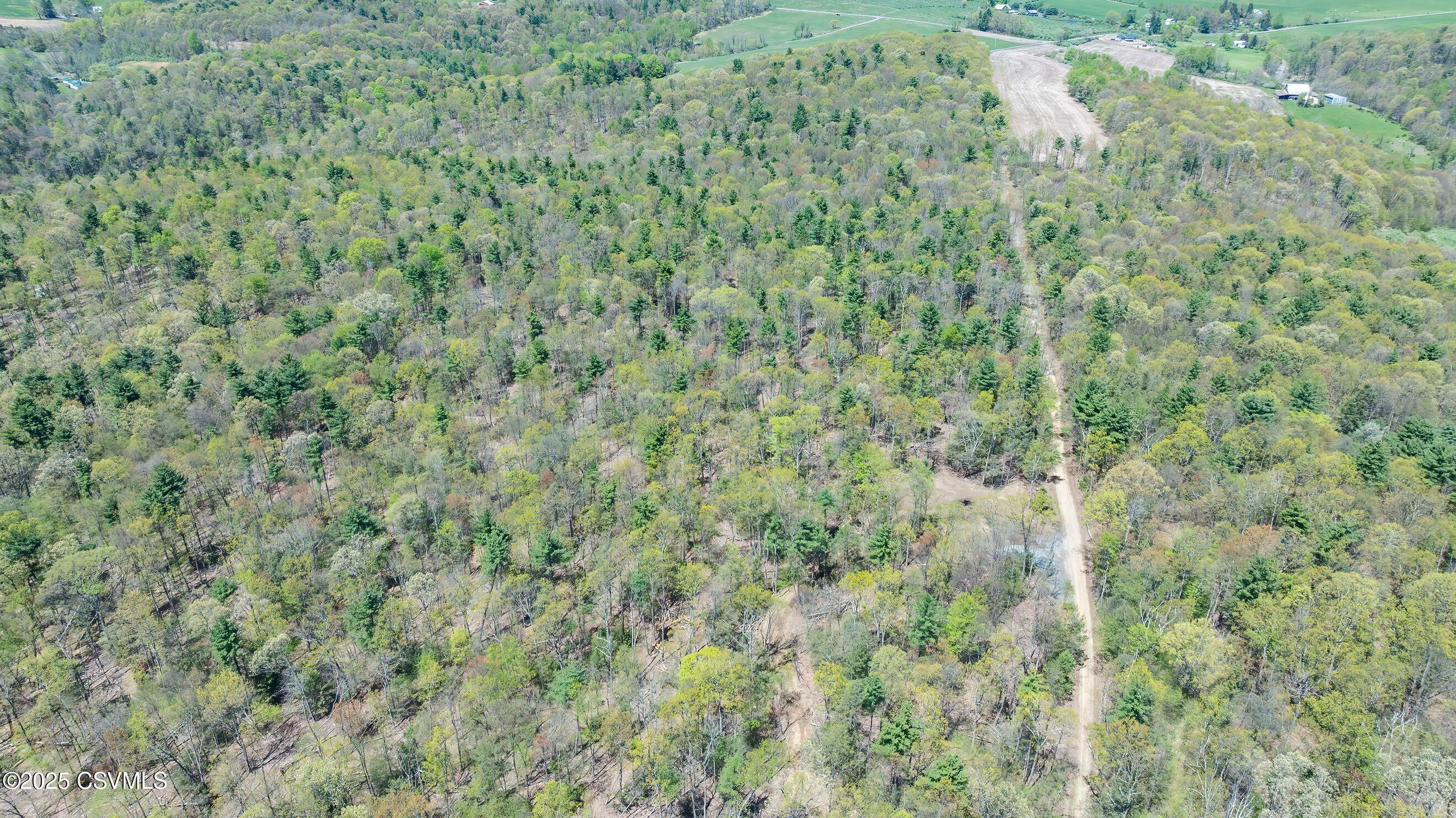 LOT 1 PATTON HILL Road
