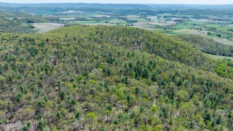 Millville 20 LOT 1 PATTON HILL Road Millville PA 17846