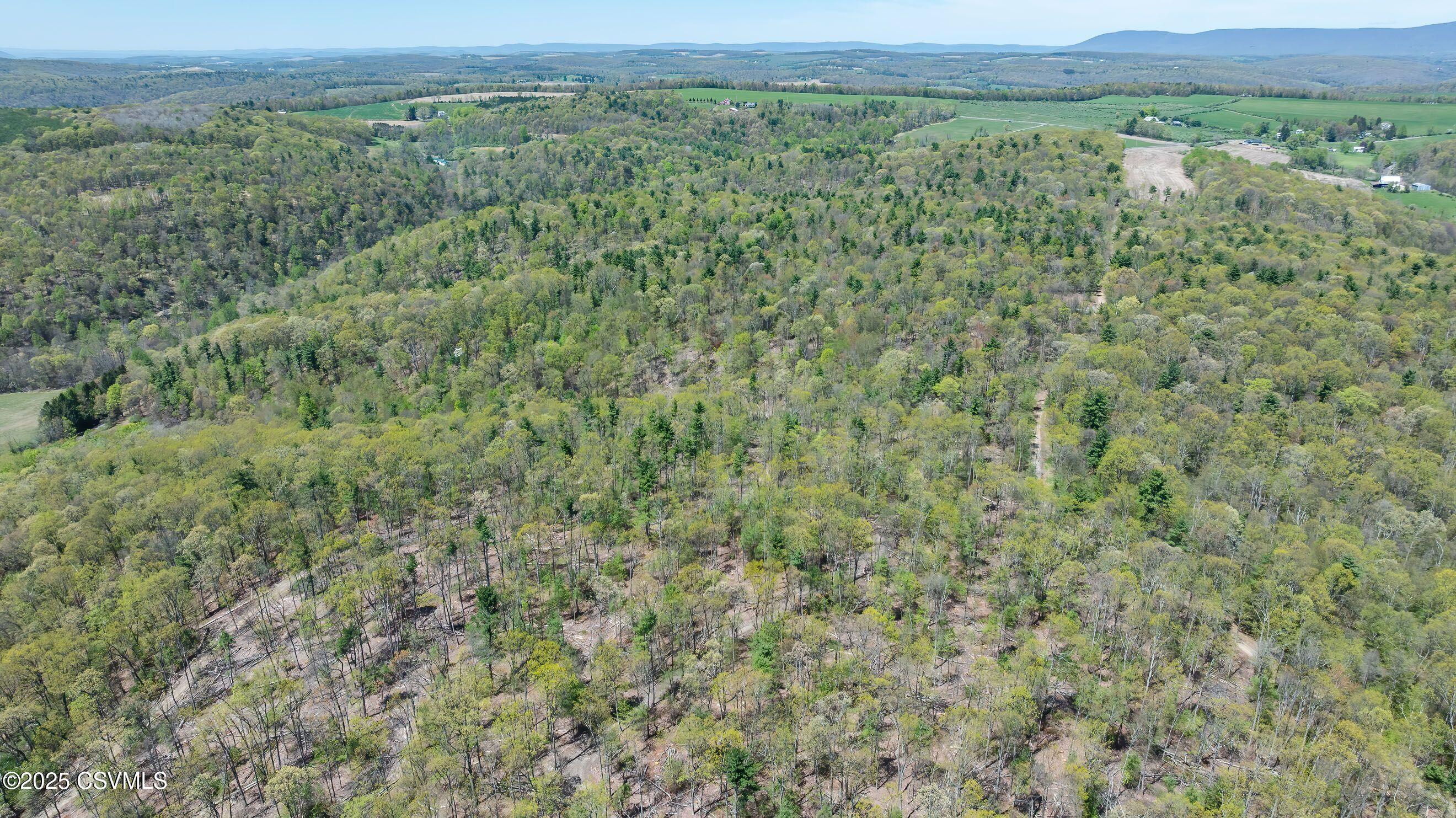 LOT 1 PATTON HILL Road