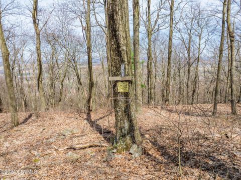 Catawissa 29 121 EVERGREEN Lane Catawissa PA 17820