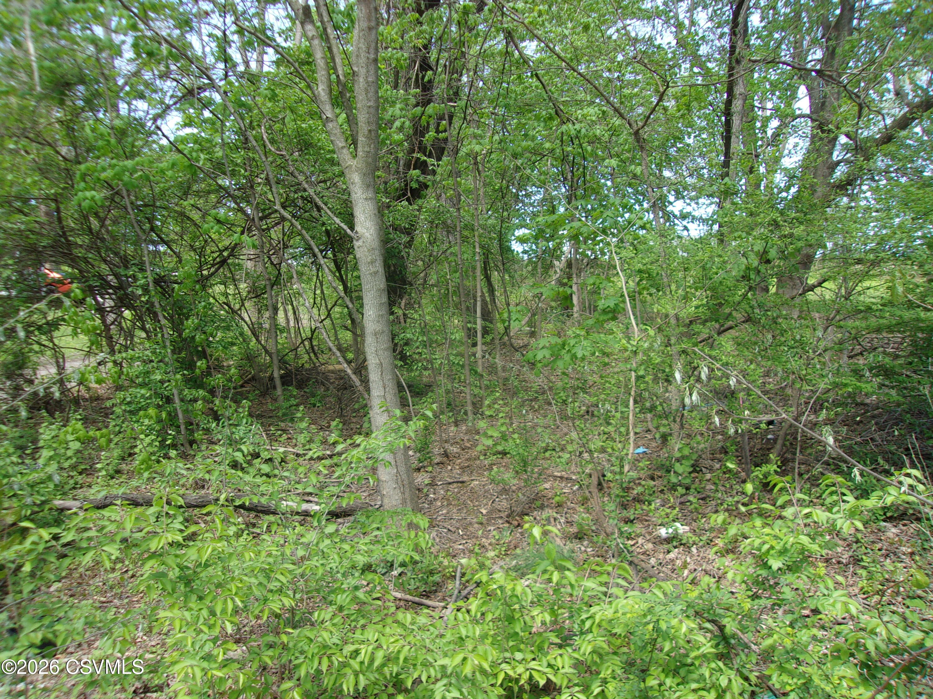 Properties 3 613 montour street
