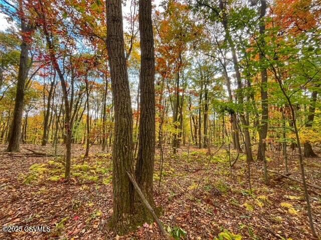 Properties 6 40 WOOD RIDGE Lane