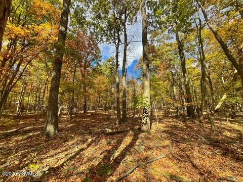 40 WOOD RIDGE Lane Northumberland PA 17857