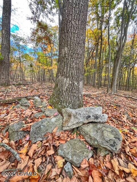 Properties 4 40 WOOD RIDGE Lane