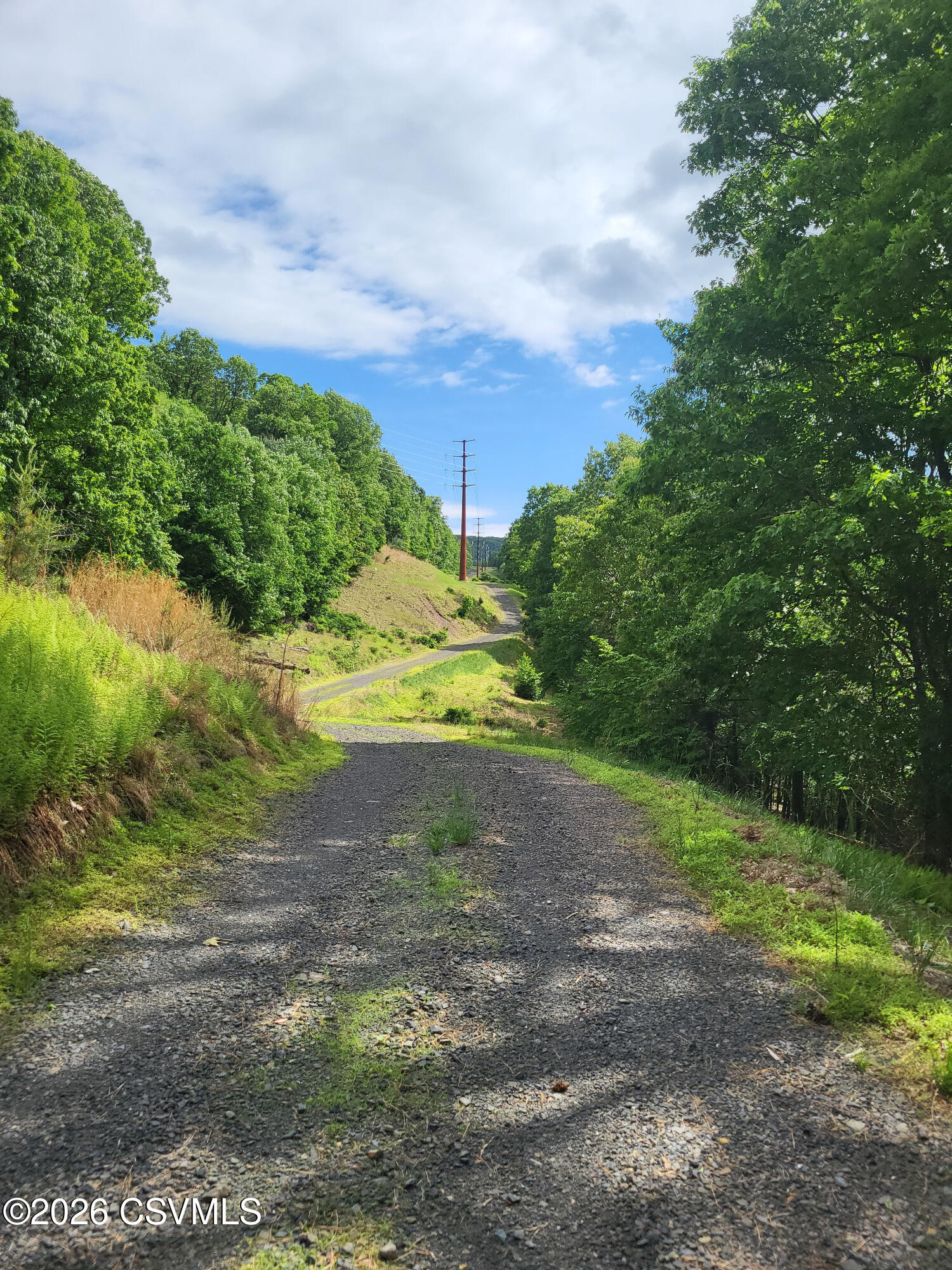 Mountain road