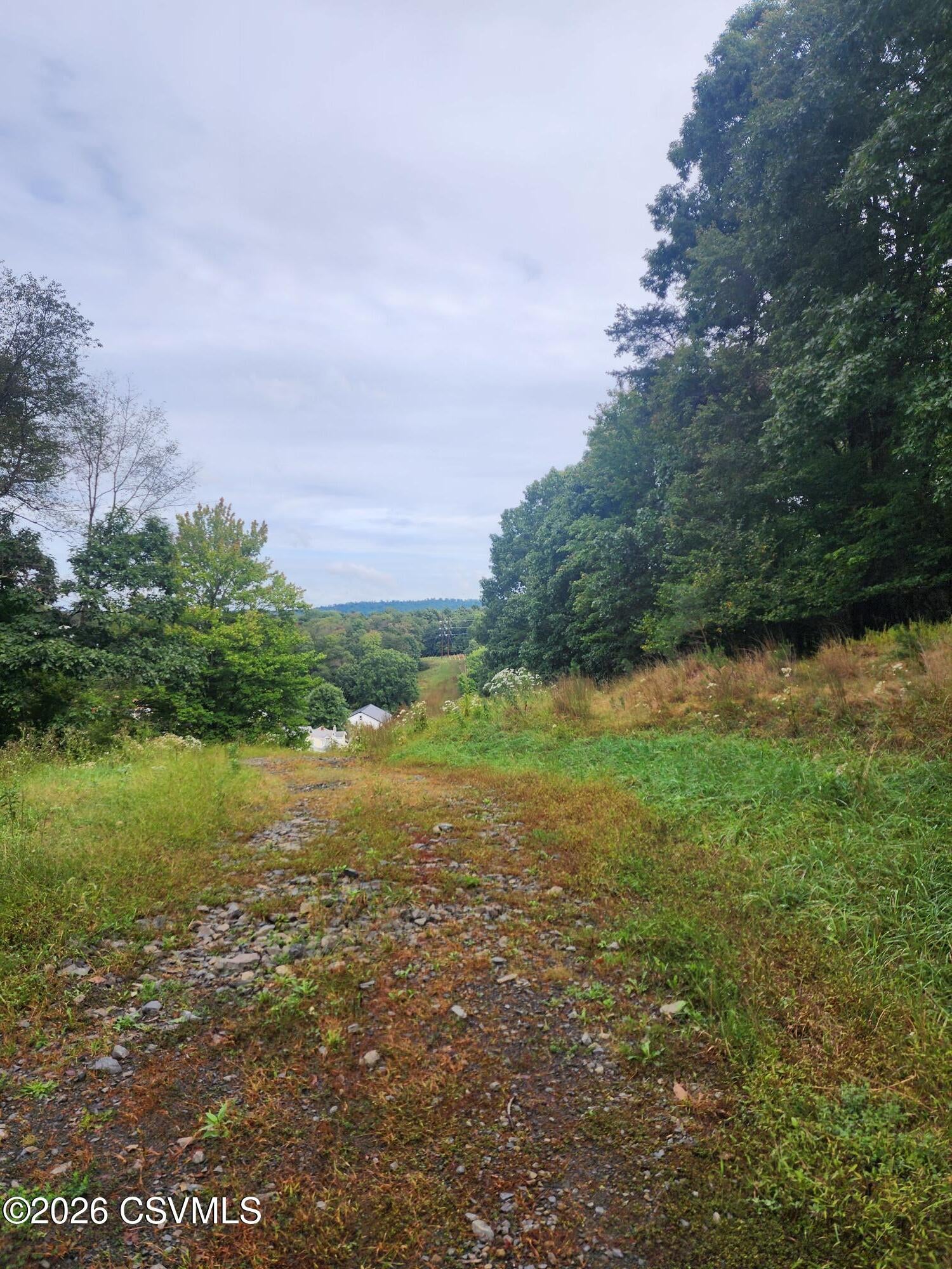 Mountain road