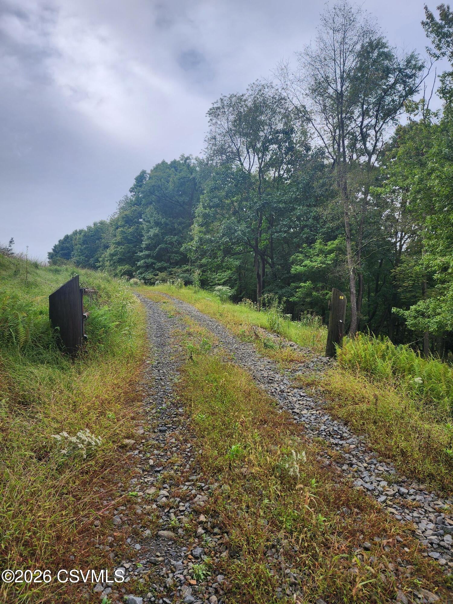 Mountain road