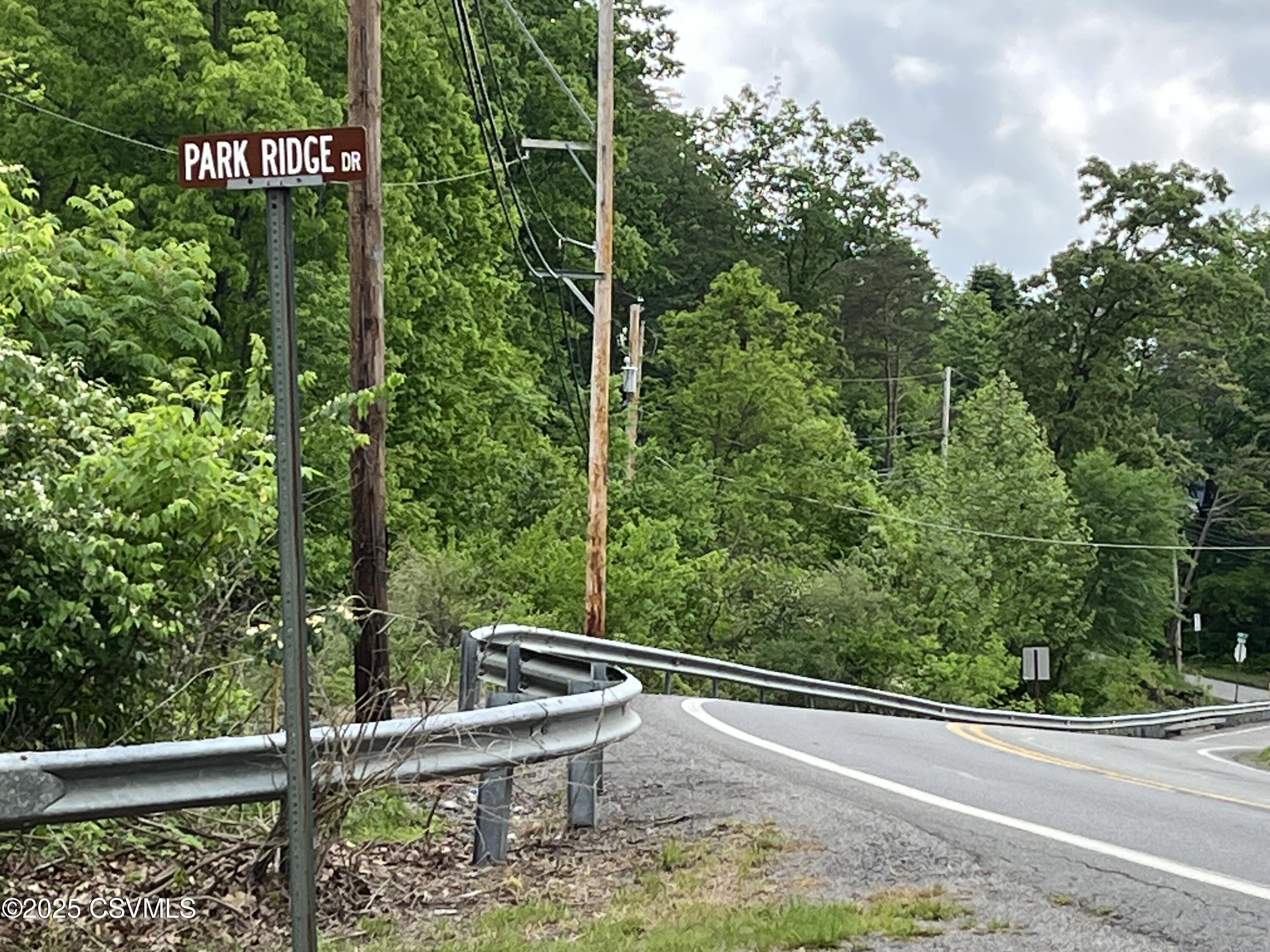 PARK RIDGE Drive