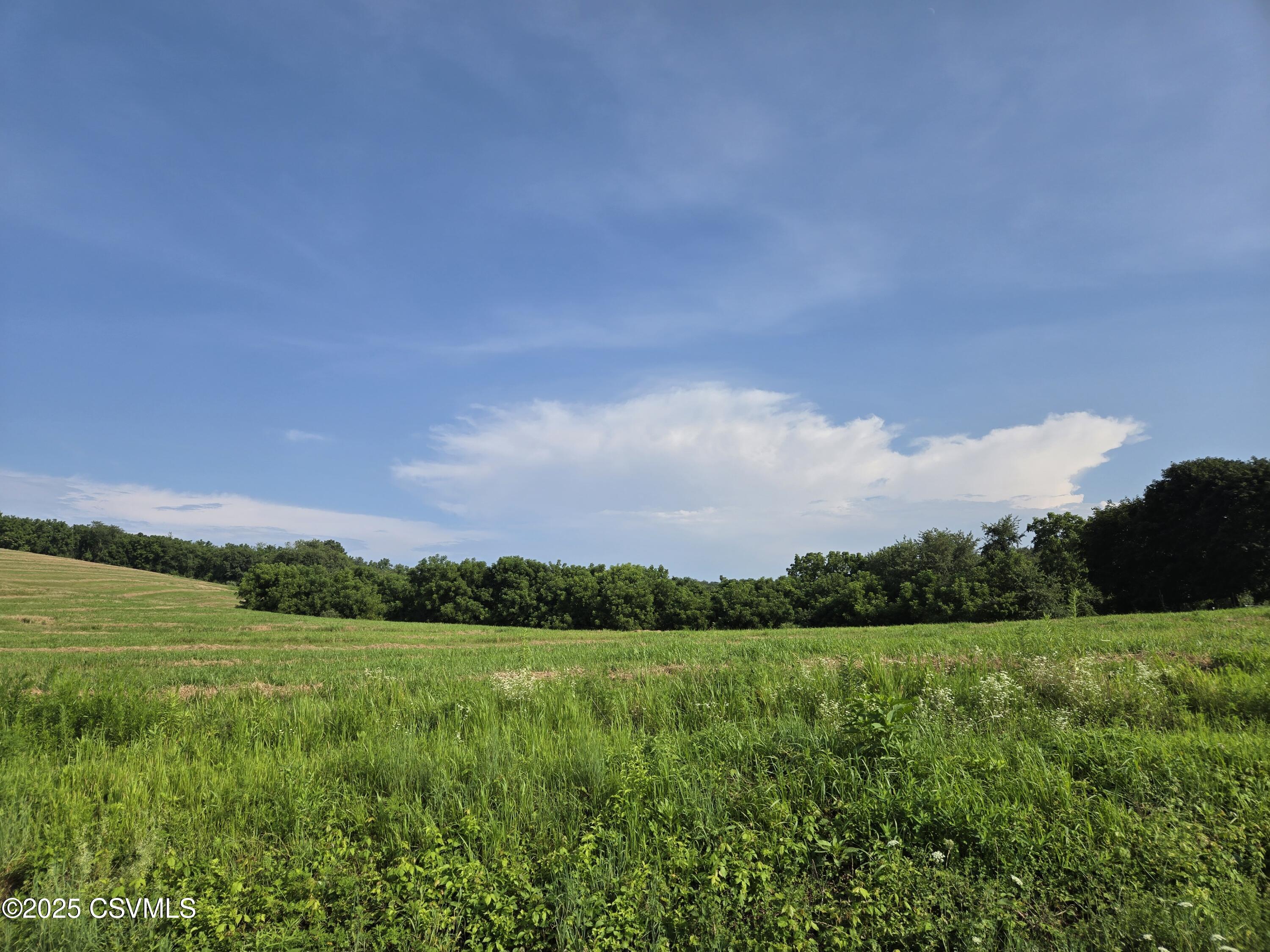 MOWERY Road