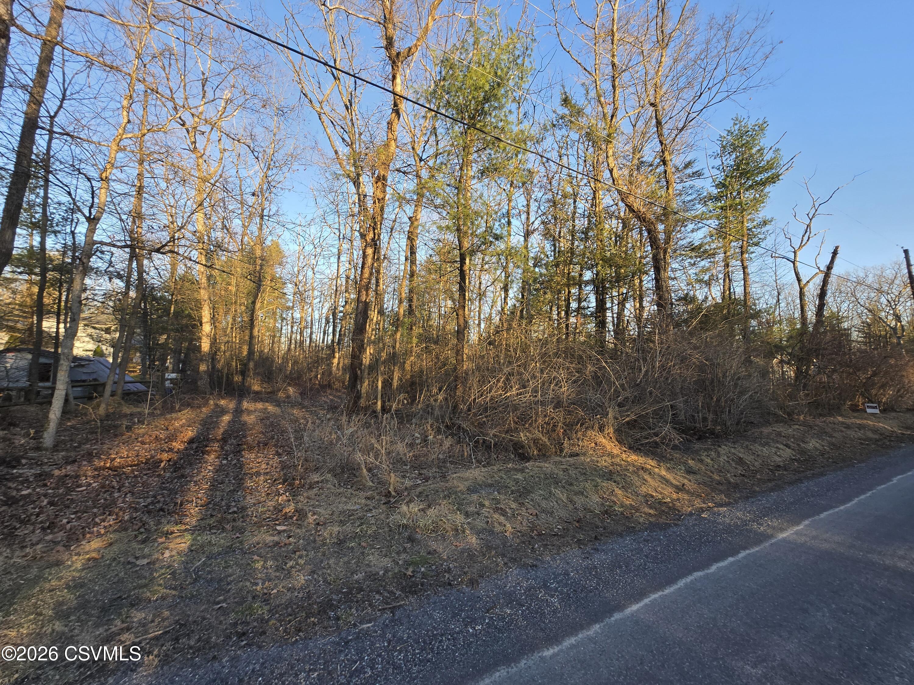 LOT 2 DIEHL Road