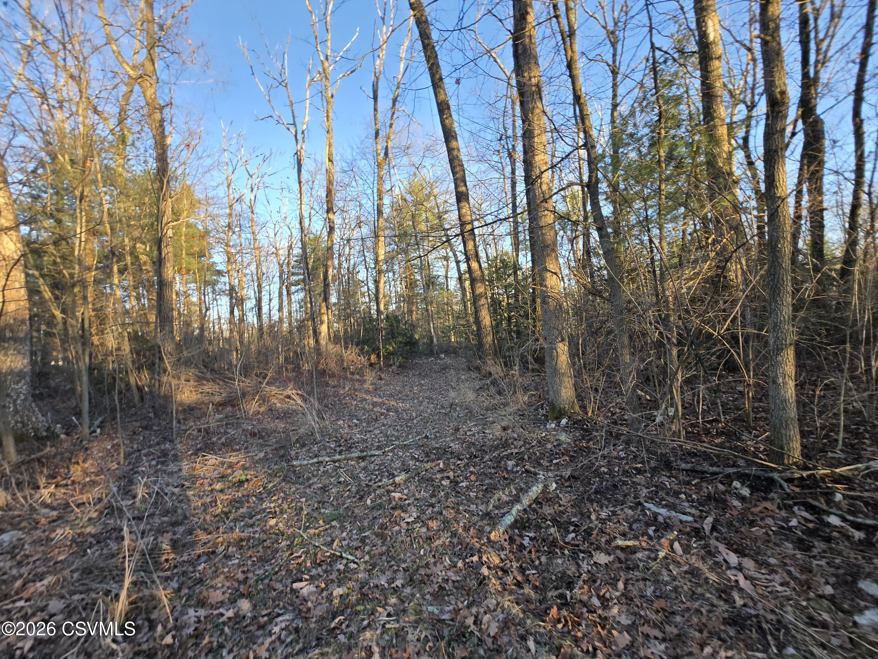 LOT 2 DIEHL Road