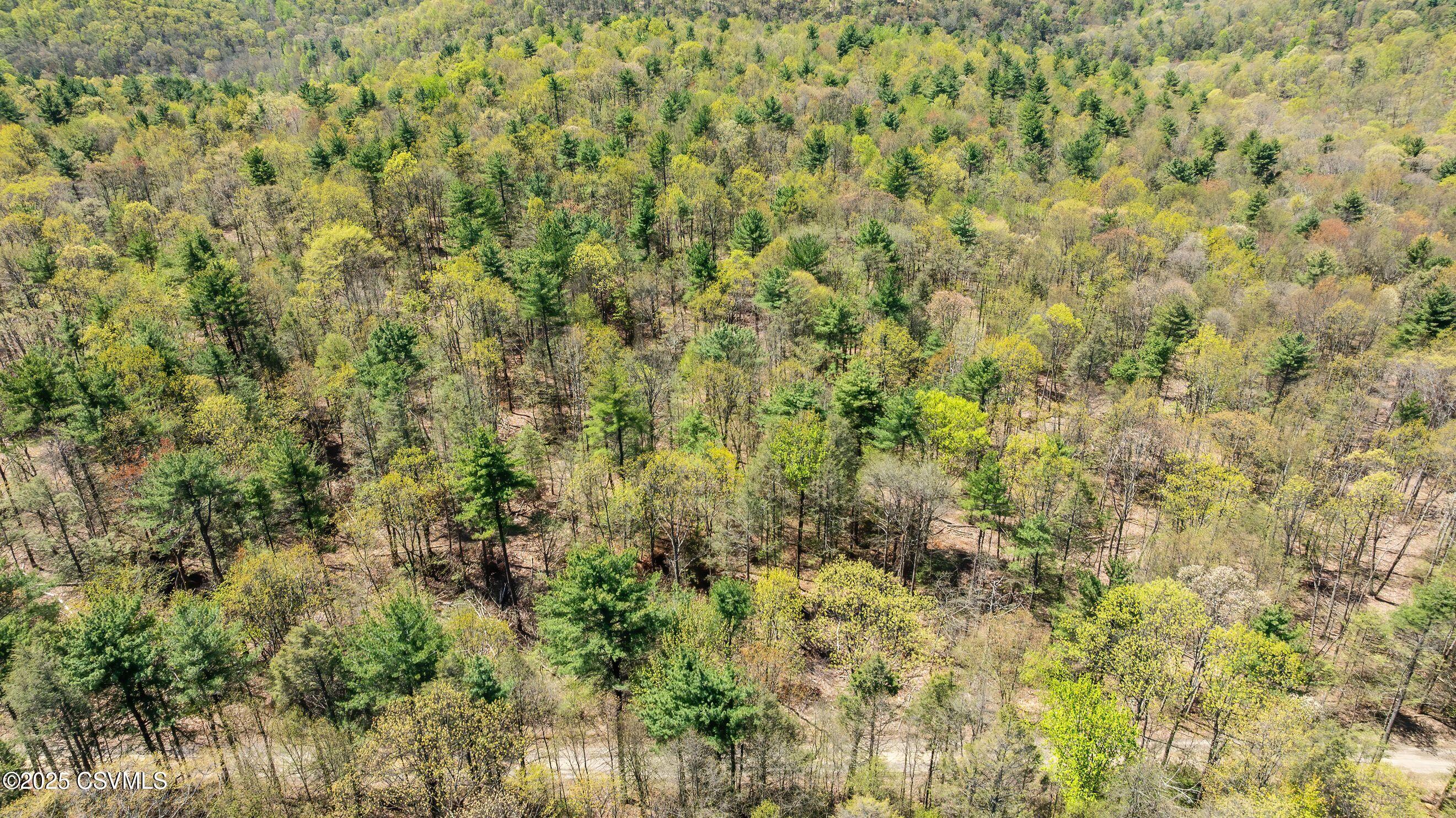 LOT 3 PATTON HILL Road