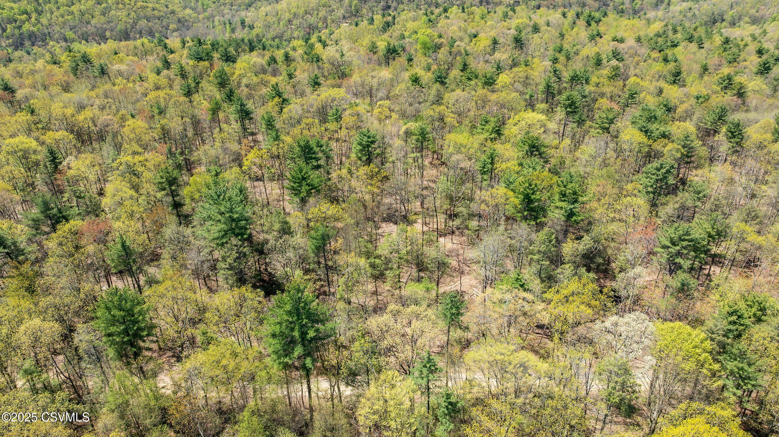 LOT 3 PATTON HILL Road