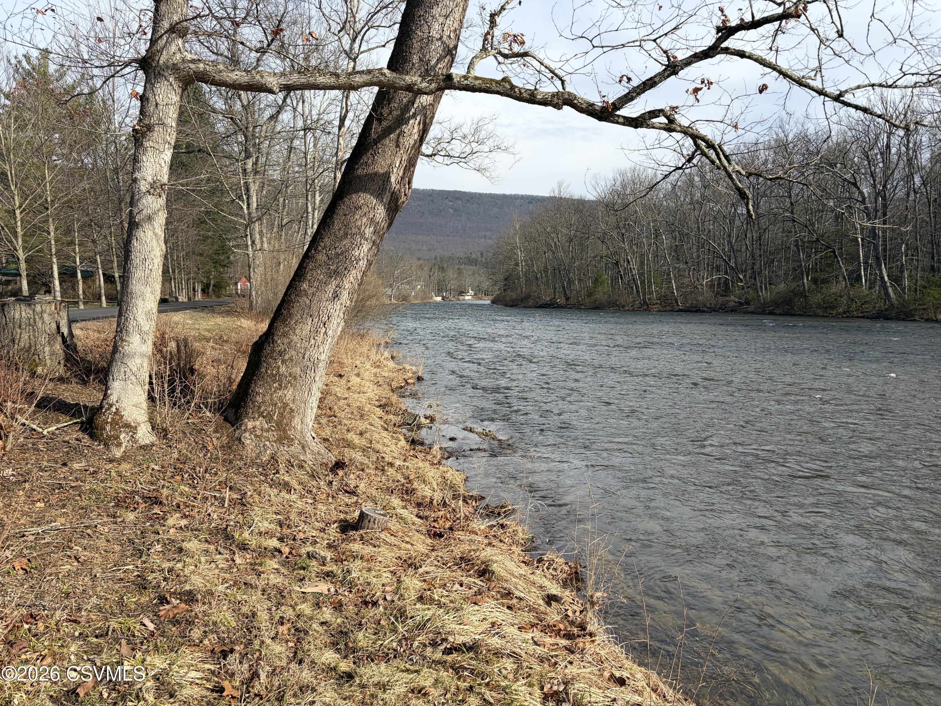 484 JOLLYS GROVE Lane