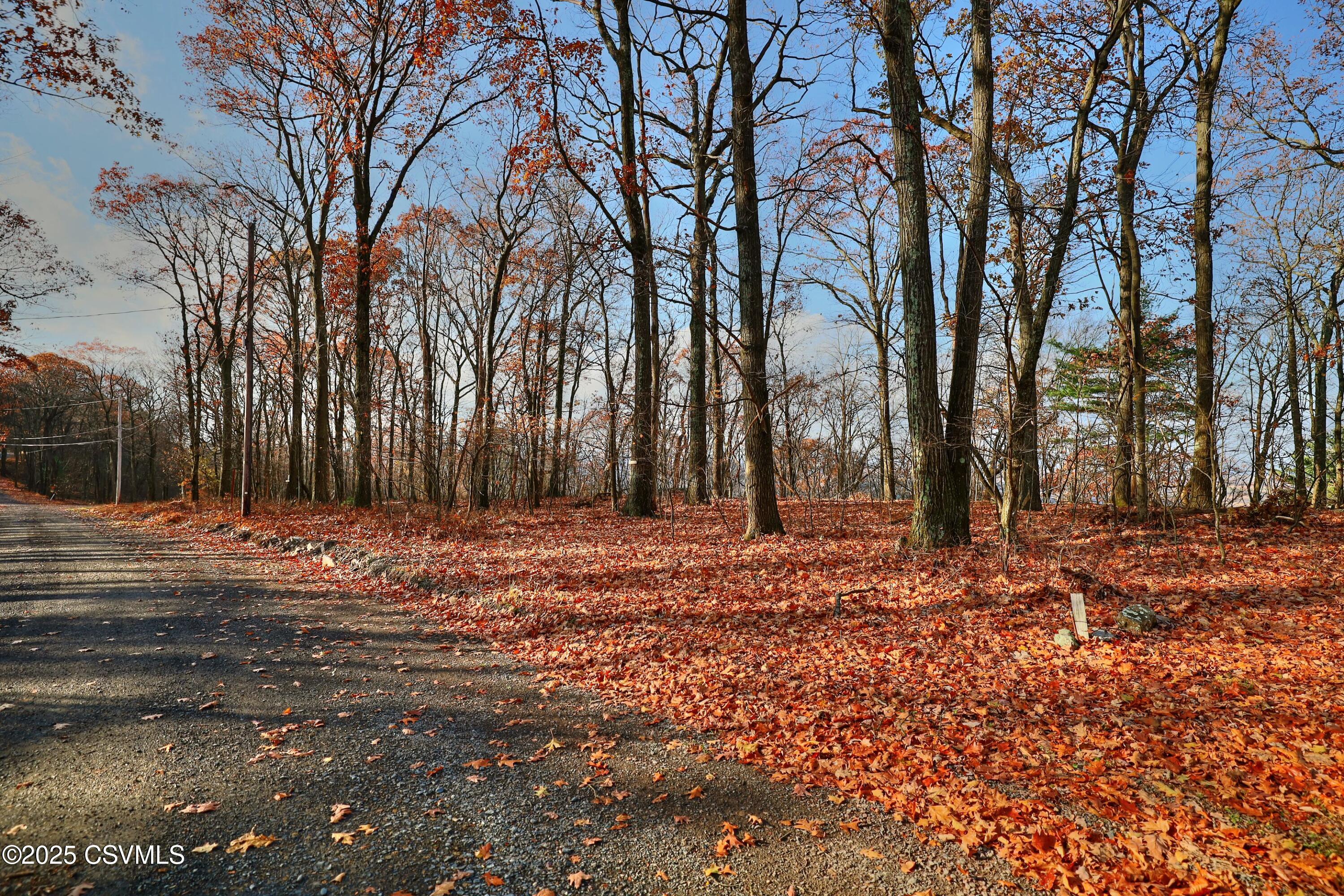 Properties 4 449 EVERGREEN Lane