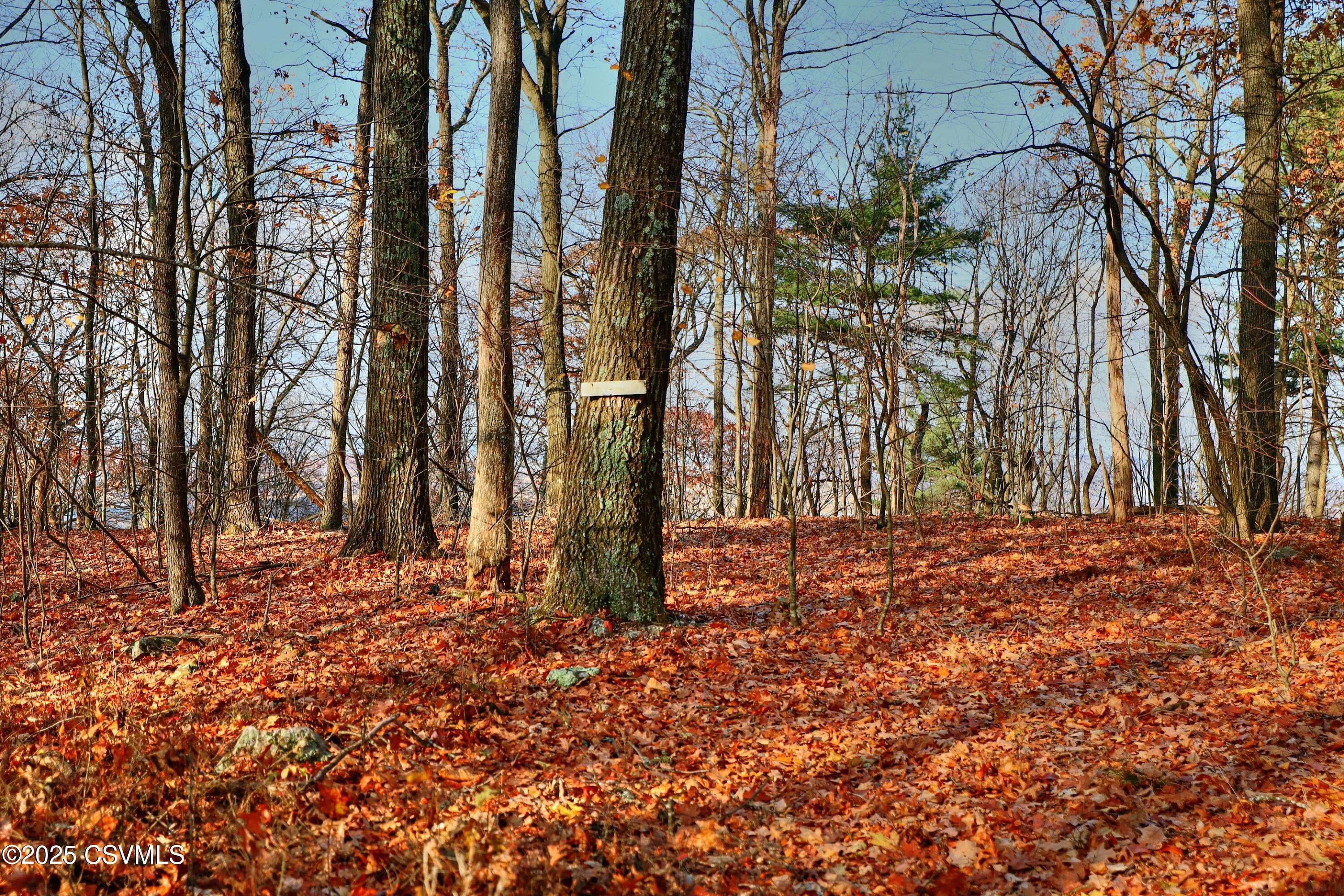 Properties 3 449 EVERGREEN Lane