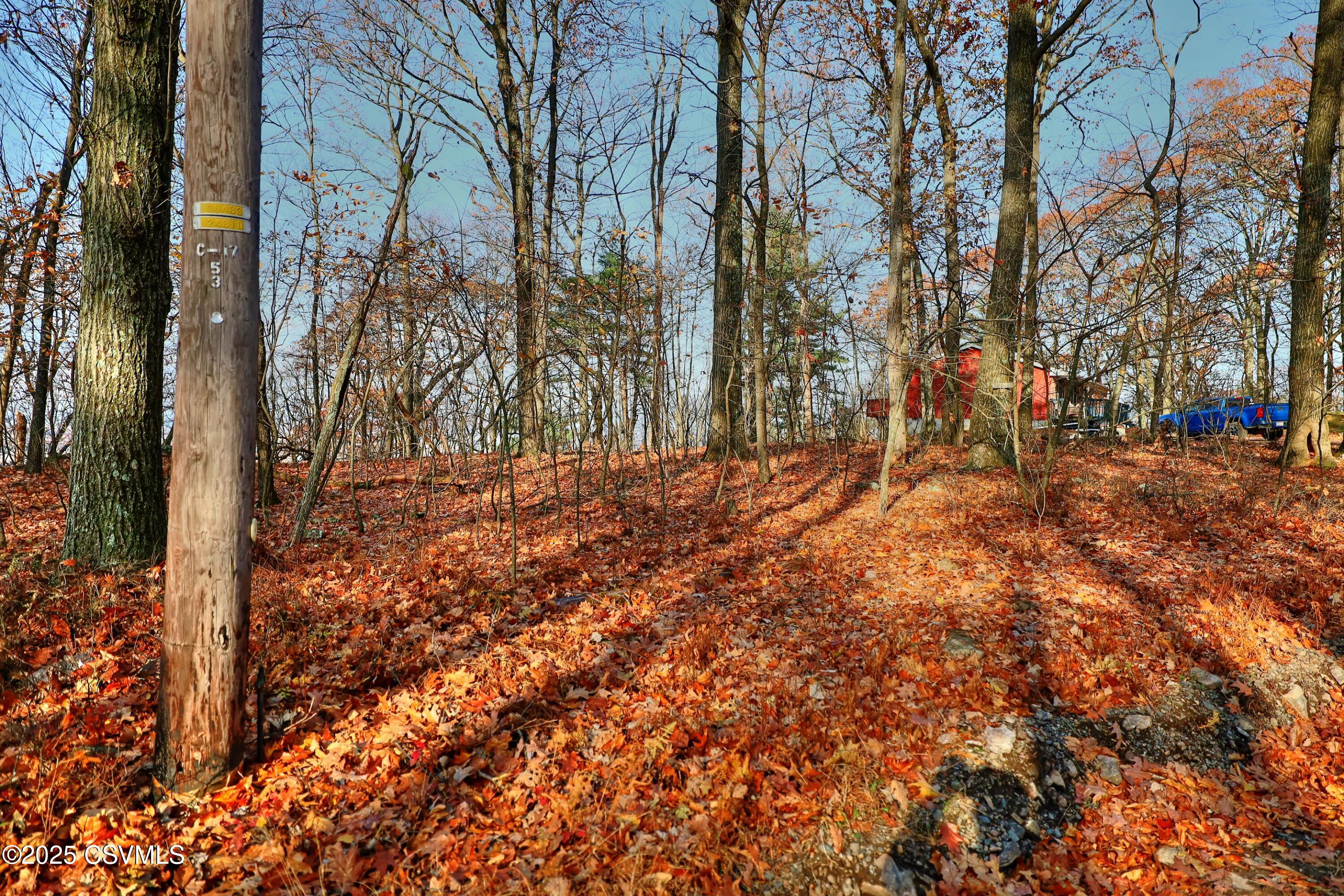 Properties 6 449 EVERGREEN Lane