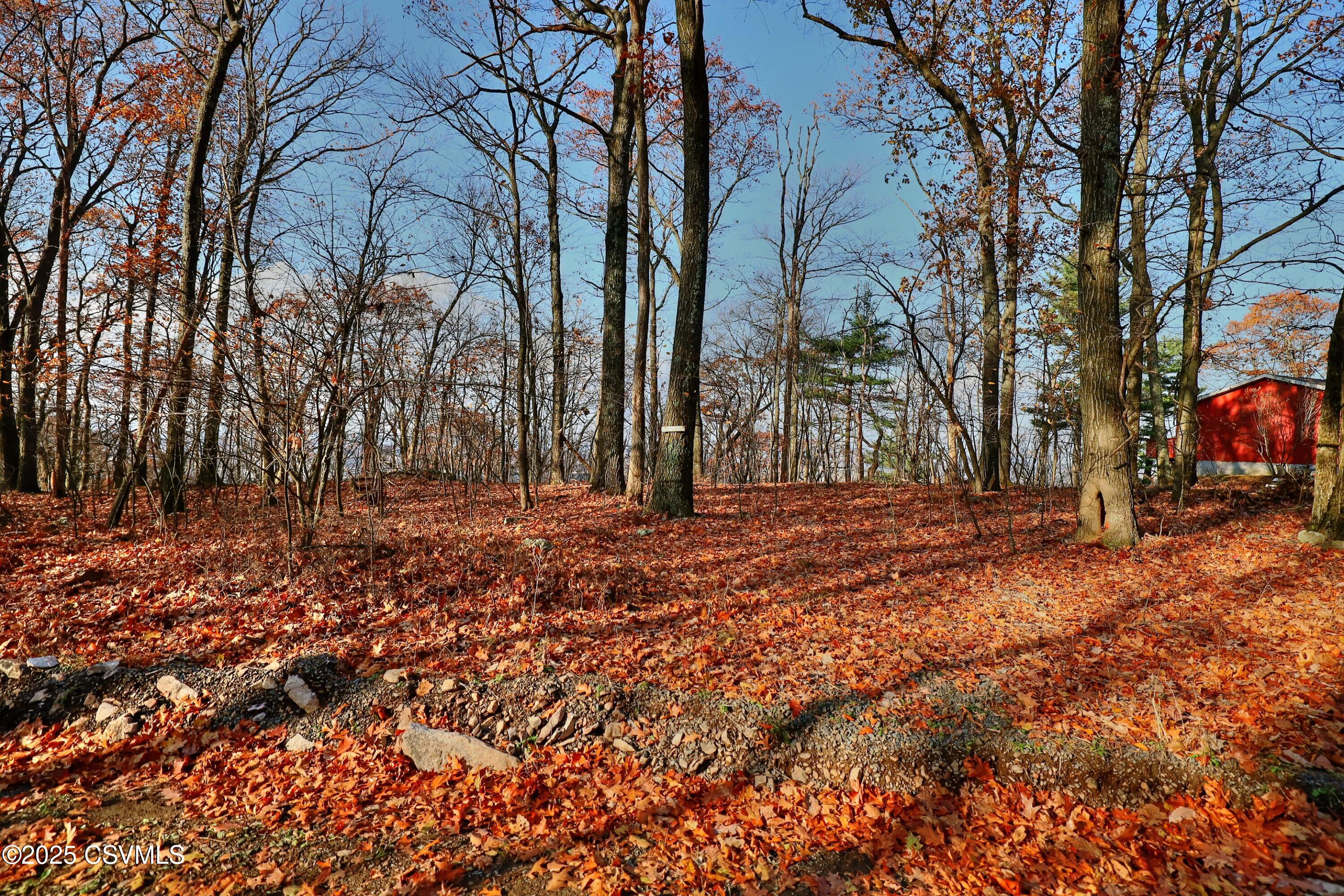 Properties 5 449 EVERGREEN Lane