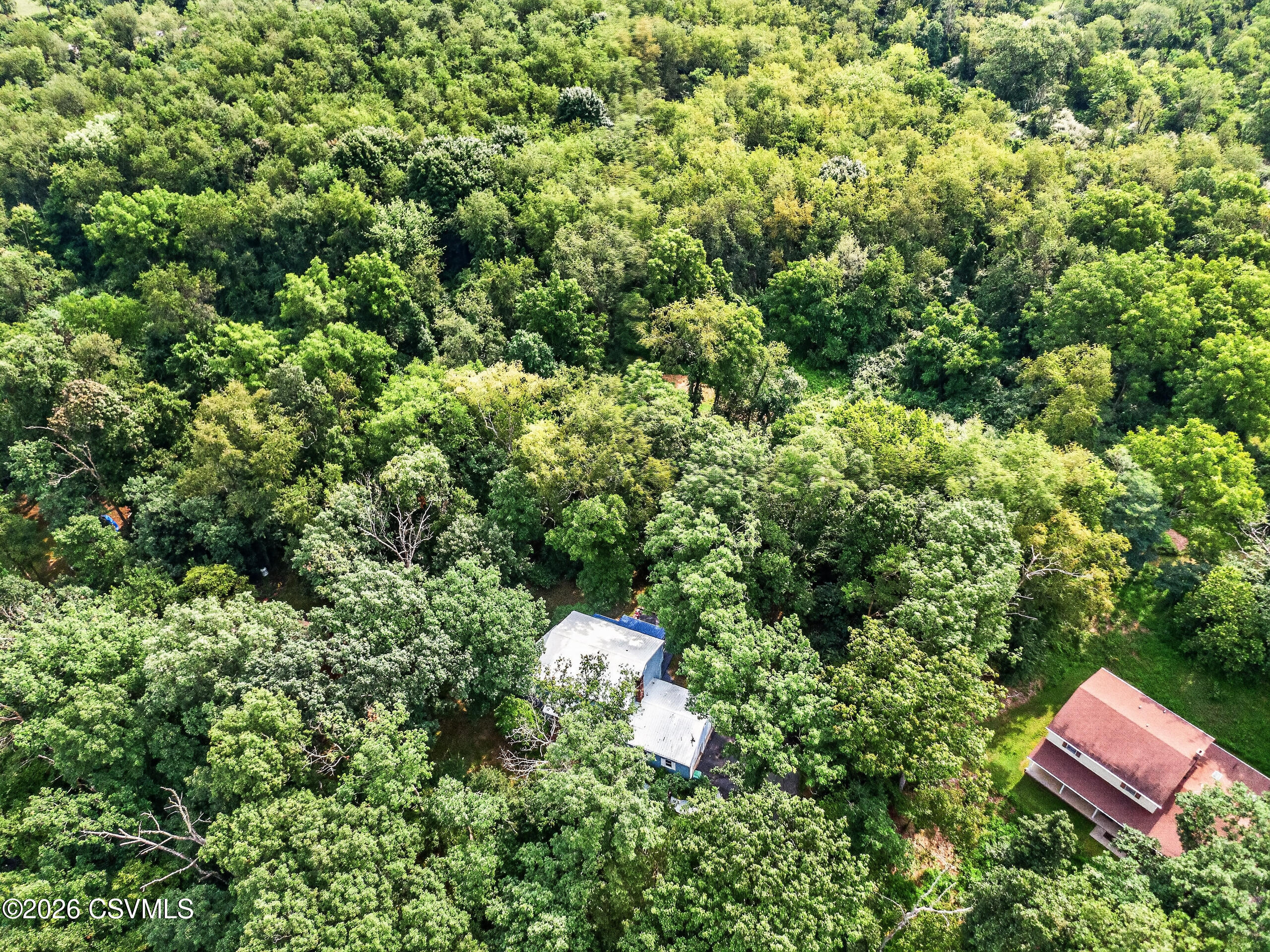 117 forest drive