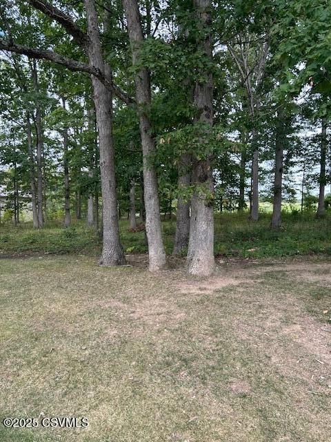 Elysburg 16 LOT# 5 HEMLOCK Lane Elysburg PA 17824