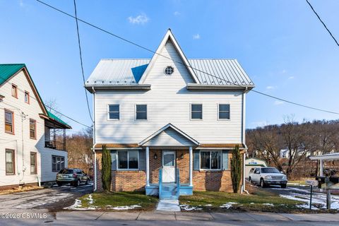 250 RIVERSIDE Lane Herndon PA 17830