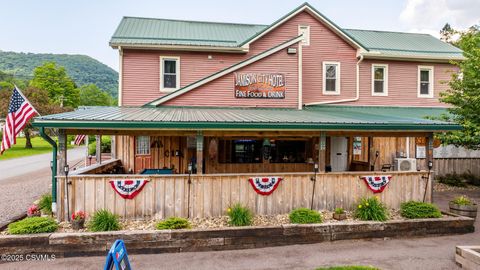 Properties 83 184 JAMISON CITY Road Benton PA 17814