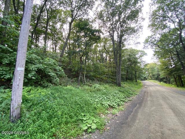 163 evergreen lane