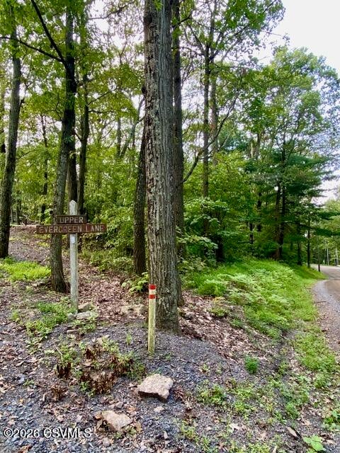 163 evergreen lane