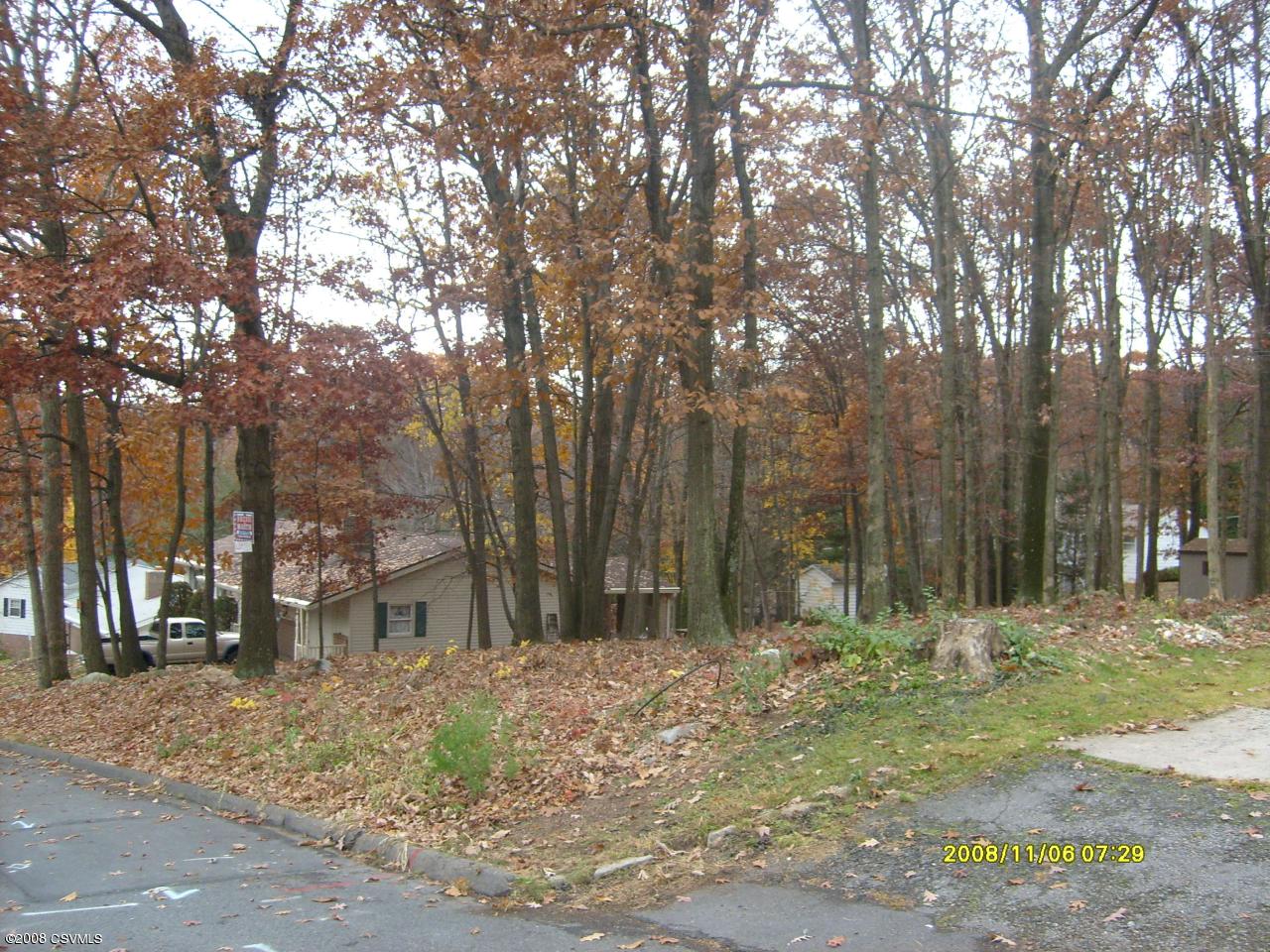 Lot 4 Balsam Street, Coal Township, PA 17866 MLS 2055241 Listing