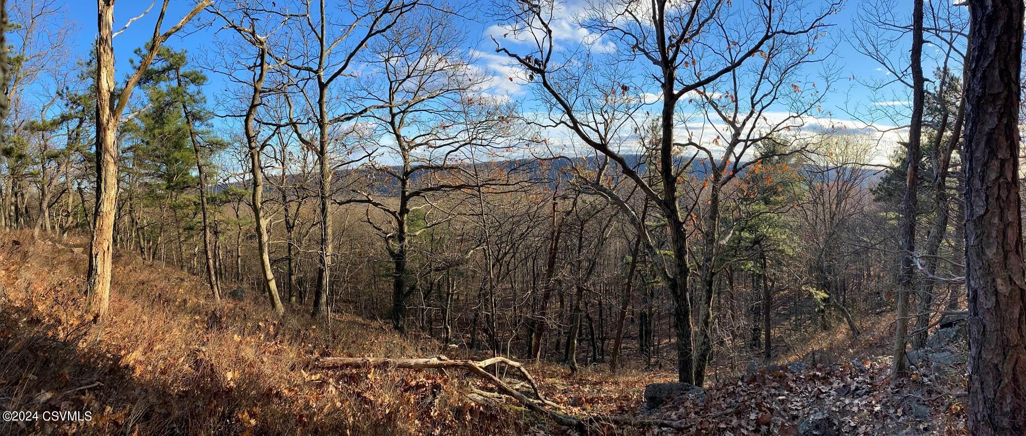 Photo 6 of 8 of 145-146 UPPER EVERGREEN Lane land