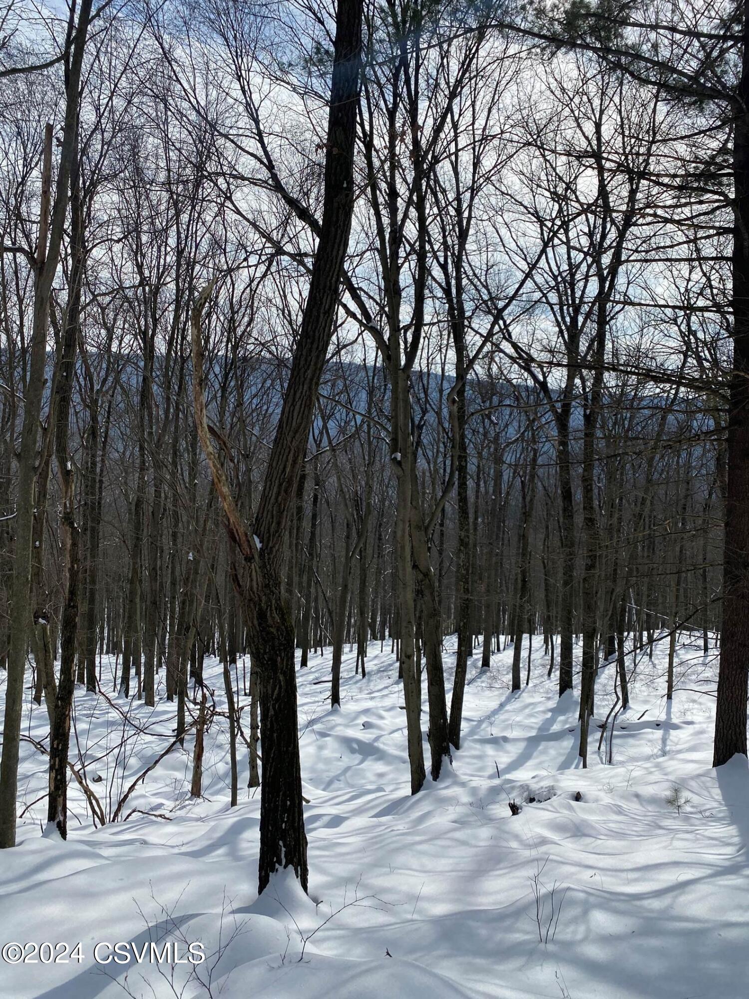 Photo 7 of 8 of 145-146 UPPER EVERGREEN Lane land