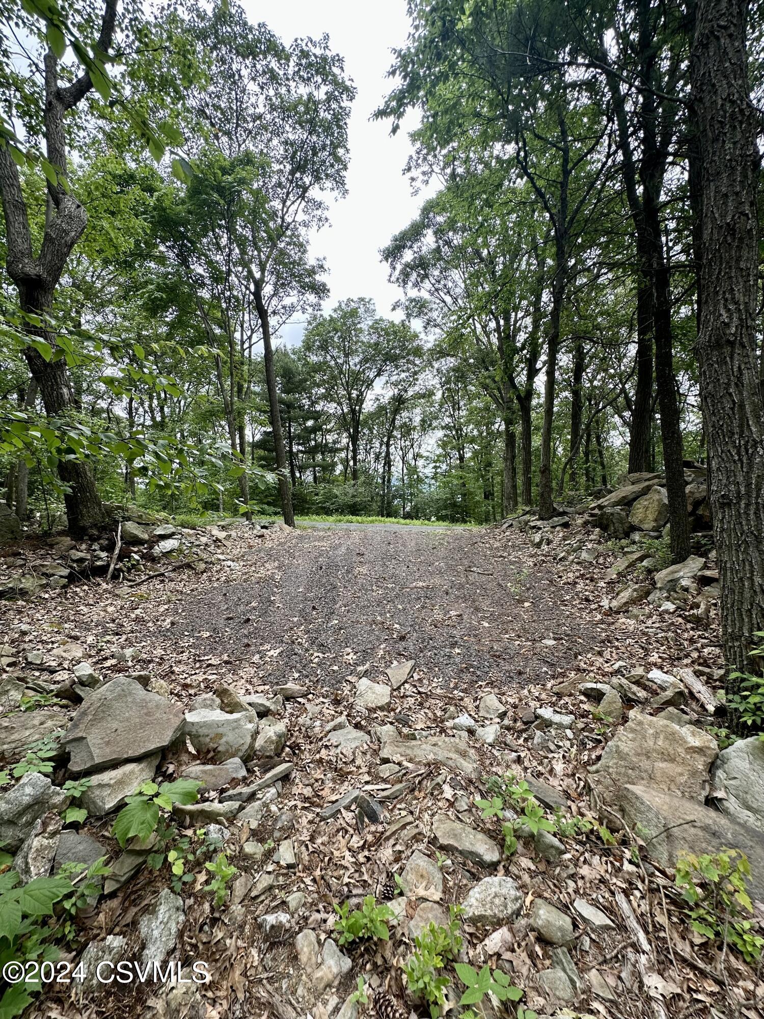 Photo 4 of 8 of 145-146 UPPER EVERGREEN Lane land