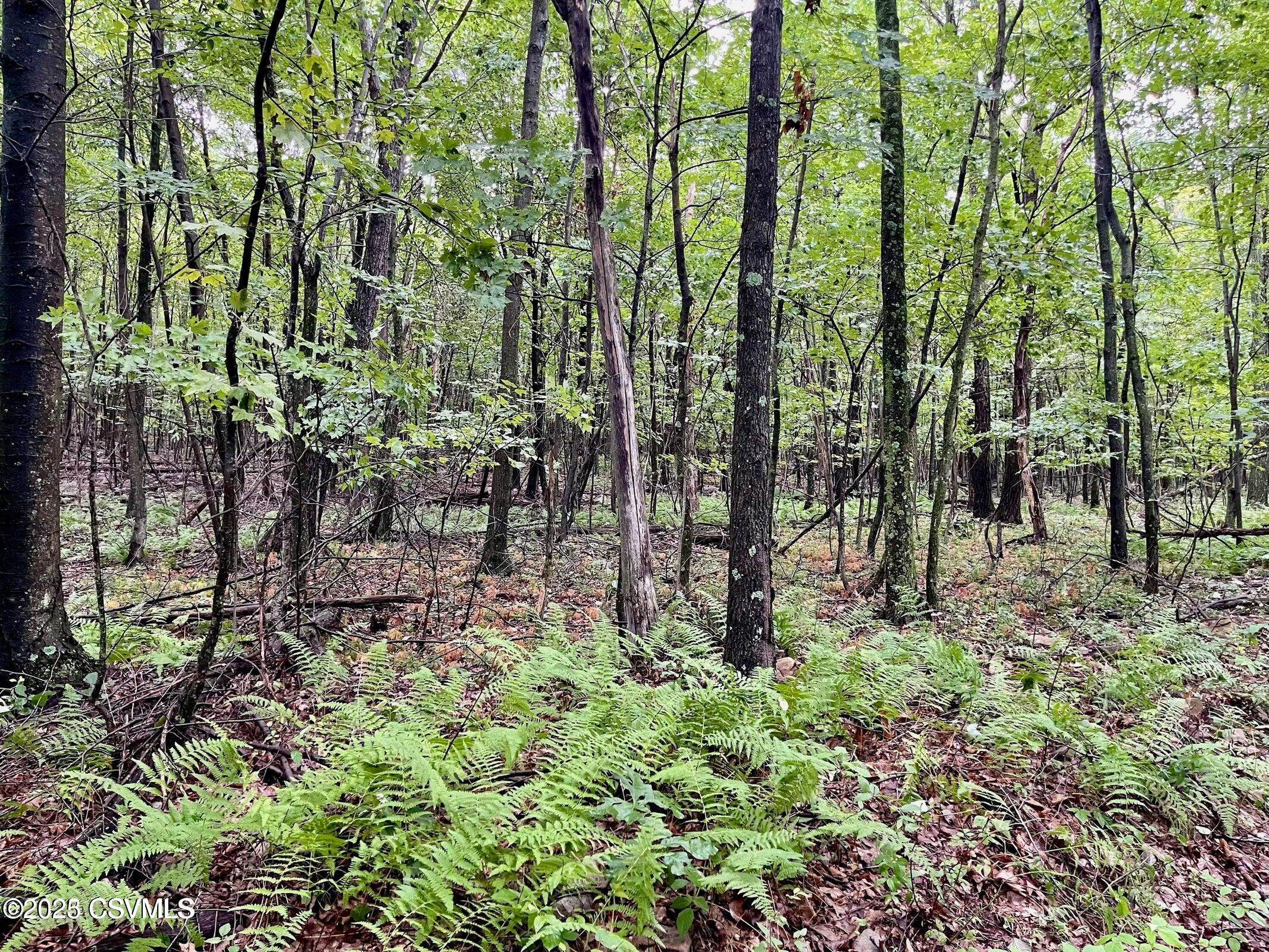 Properties 6 MINE GAP Road