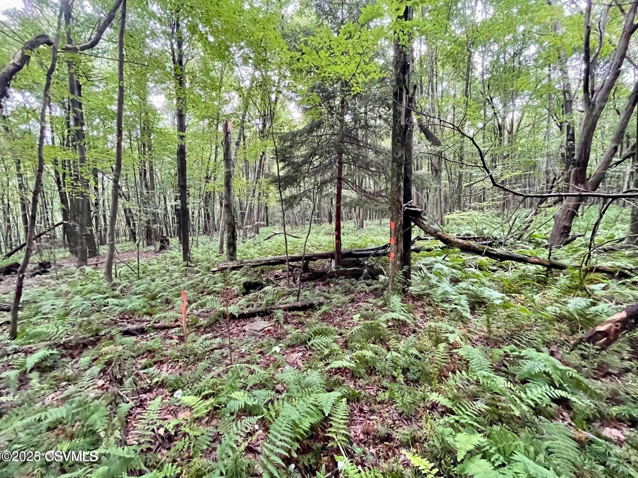 Properties 3 MINE GAP Road