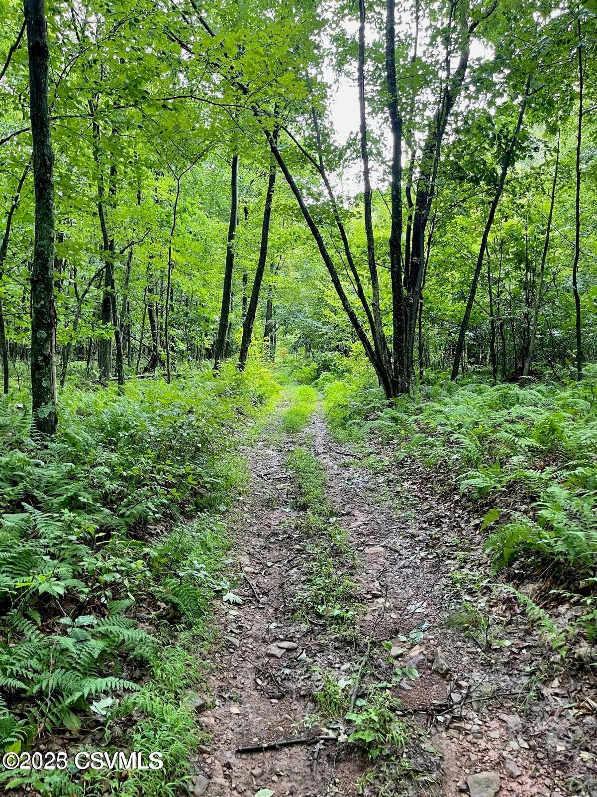 Properties 5 MINE GAP Road