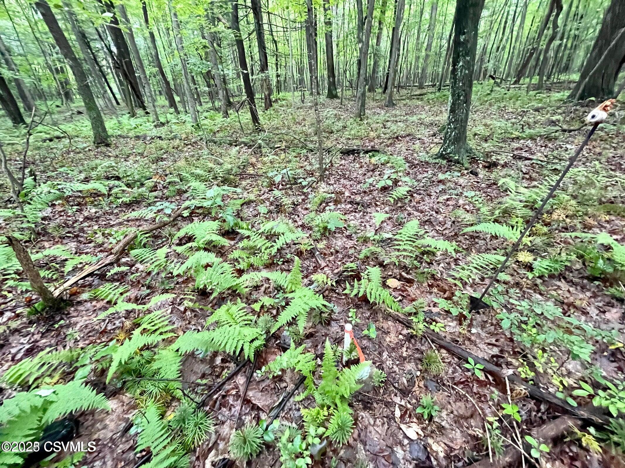 Properties 4 MINE GAP Road